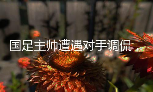 國(guó)足主帥遭遇對(duì)手調(diào)侃，爭(zhēng)議瞬間引發(fā)韓媒熱議
