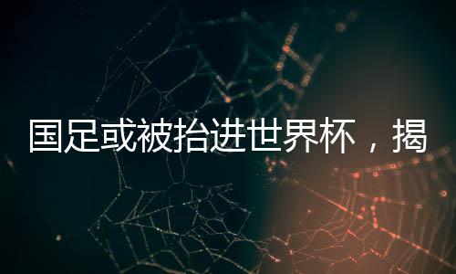 國(guó)足或被抬進(jìn)世界杯，揭秘中國(guó)足球的新希望與挑戰(zhàn)