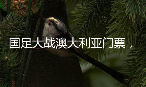 國足大戰(zhàn)澳大利亞門票，6分鐘售罄，球迷熱情空前