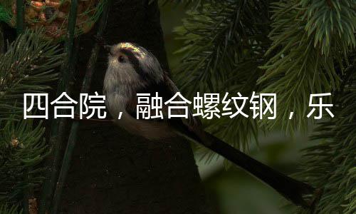 四合院，融合螺紋鋼，樂(lè)瘋婁小娥