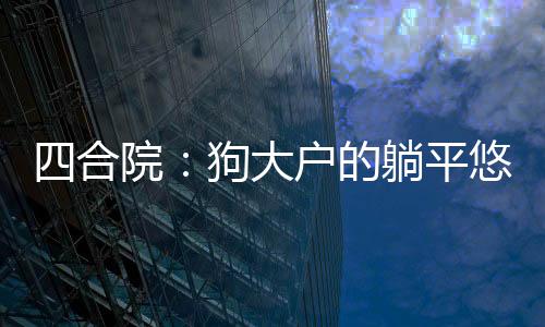 四合院：狗大戶的躺平悠閑生活！