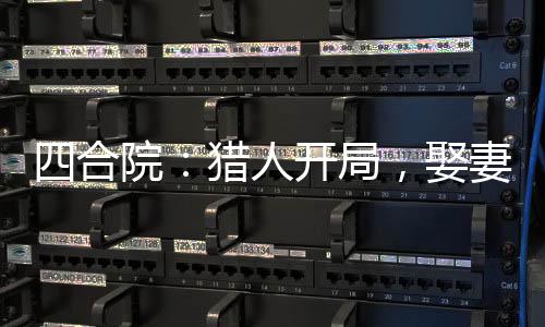 四合院：獵人開局，娶妻白玲