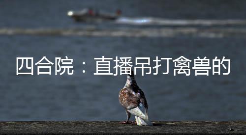 四合院：直播吊打禽獸的日常