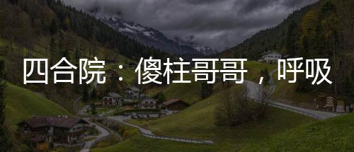四合院：傻柱哥哥，呼吸就變強(qiáng)！