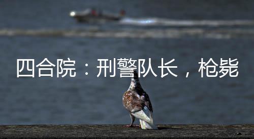 四合院：刑警隊長，槍斃眾禽