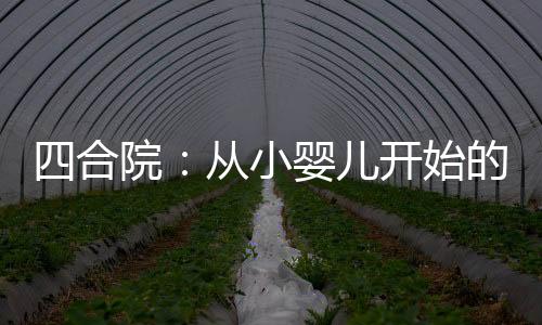 四合院：從小嬰兒開始的人生贏家