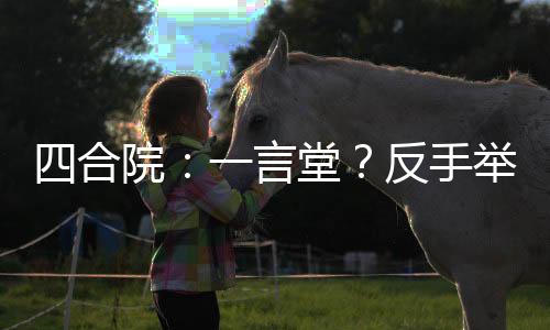 四合院：一言堂？反手舉報(bào)復(fù)辟！