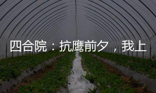 四合院：抗鷹前夕，我上交雙穿門(mén)