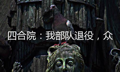 四合院：我部隊(duì)退役，眾禽倒大霉
