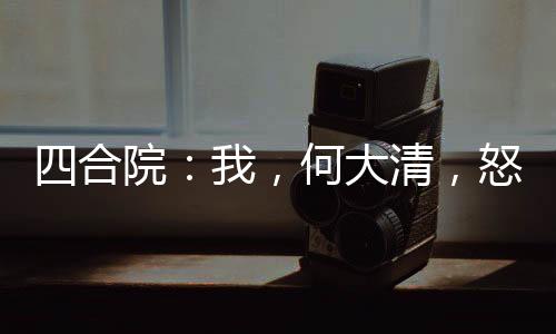 四合院：我，何大清，怒抽易中海