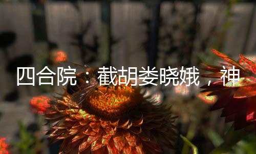 四合院：截胡婁曉娥，神級工程師