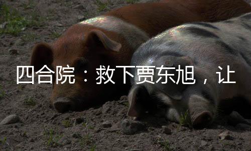 四合院：救下賈東旭，讓他去啃老