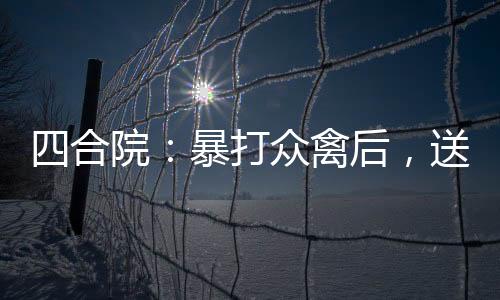 四合院：暴打眾禽后，送他們?nèi)氇z