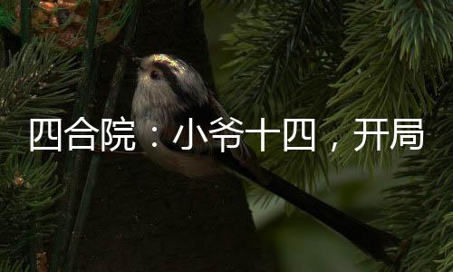 四合院：小爺十四，開局暴揍傻柱