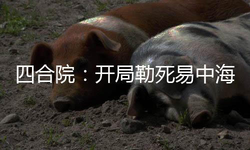 四合院：開局勒死易中海，殺光了