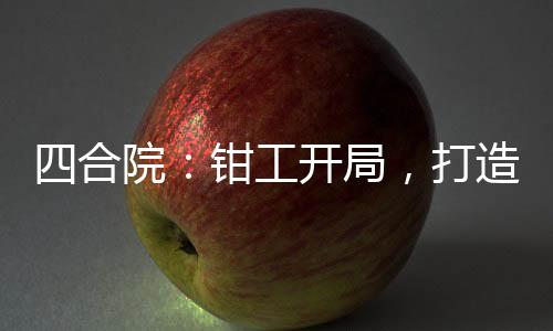 四合院：鉗工開局，打造超級(jí)軍工