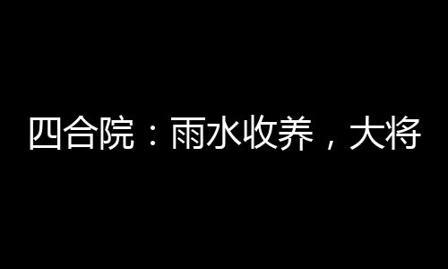 四合院：雨水收養(yǎng)，大將血脈曝光