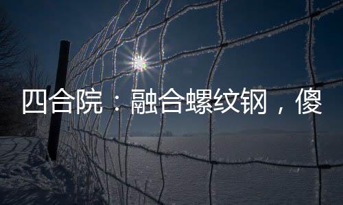 四合院：融合螺紋鋼，傻柱踢斷腿