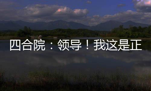 四合院：領(lǐng)導(dǎo)！我這是正經(jīng)招待所