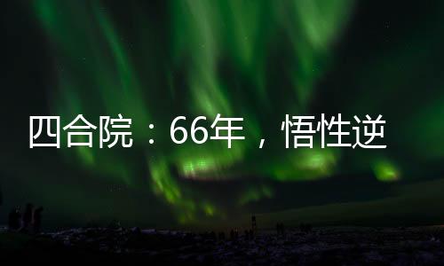 四合院：66年，悟性逆天我無敵