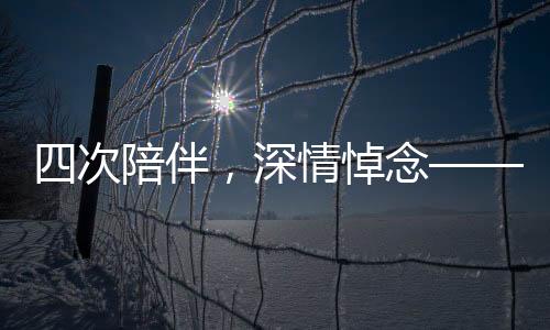 四次陪伴，深情悼念——與丈夫共同緬懷逝去的妻子
