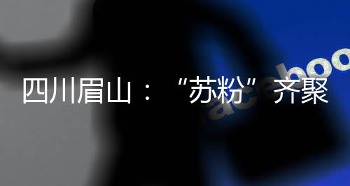 四川眉山：“蘇粉”齊聚三蘇祠為東坡慶生