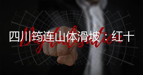 四川筠連山體滑坡：紅十字力量緊急開展救援工作