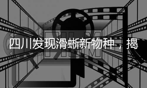 四川發(fā)現(xiàn)滑蜥新物種，揭開(kāi)神秘面紗，展現(xiàn)生物多樣性之美