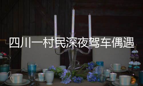 四川一村民深夜駕車偶遇大熊貓，人與自然和諧共處的新篇章