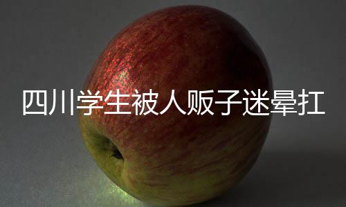 四川學(xué)生被人販子迷暈扛走事件的真相揭秘