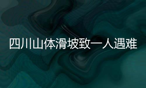 四川山體滑坡致一人遇難，二十八人失聯(lián)——緊急救援行動進(jìn)行中