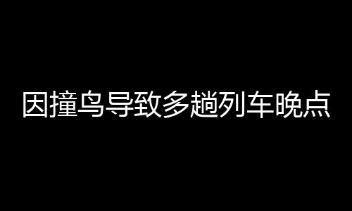 因撞鳥導(dǎo)致多趟列車晚點(diǎn)，鐵路部門誠懇致歉