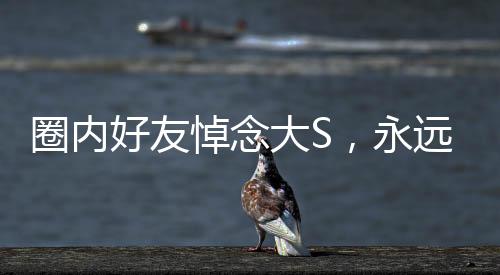 圈內(nèi)好友悼念大S，永遠(yuǎn)的星光不再黯淡