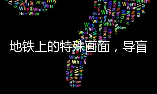 地鐵上的特殊畫(huà)面，導(dǎo)盲犬自律展現(xiàn)驚人耐心