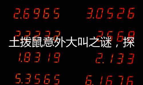 土撥鼠意外大叫之謎，探究背后的原因與應(yīng)對(duì)之策