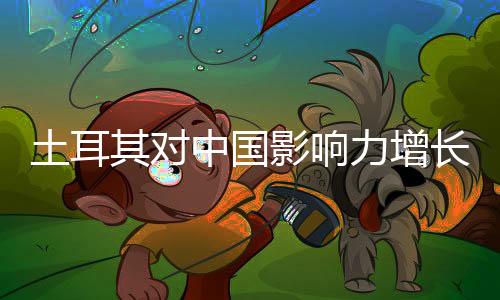 土耳其對(duì)中國(guó)影響力增長(zhǎng)的擔(dān)憂探究