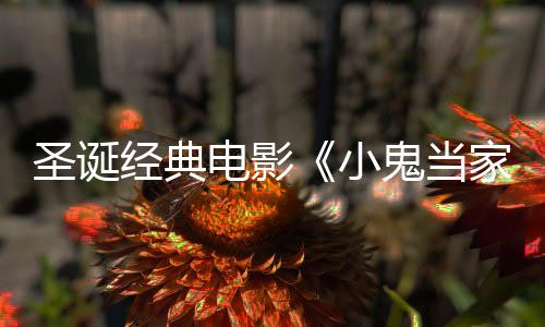 圣誕經(jīng)典電影《小鬼當(dāng)家》：華納錯(cuò)失4.76億票房神話