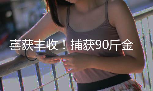 喜獲豐收！捕獲90斤金黃色鰱鳙魚