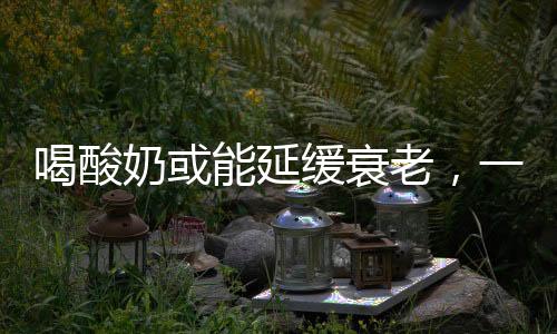 喝酸奶或能延緩衰老，一項健康研究的最新發(fā)現(xiàn)