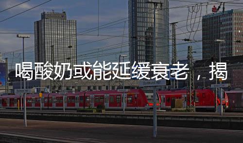 喝酸奶或能延緩衰老，揭開酸奶與健康長生的秘密