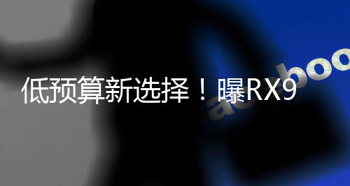 低預(yù)算新選擇！曝RX9060 XT性能可比肩RTX4070