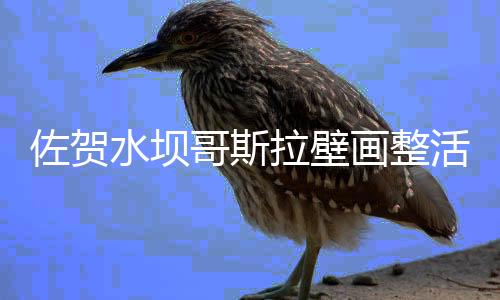 佐賀水壩哥斯拉壁畫整活旅游 月活游客暴漲1萬(wàn)