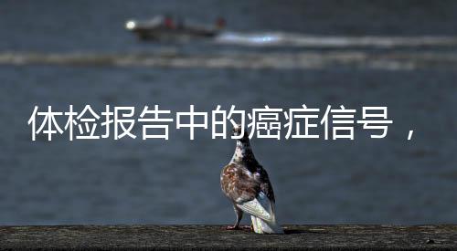 體檢報(bào)告中的癌癥信號(hào)，關(guān)鍵詞解讀與應(yīng)對(duì)策略
