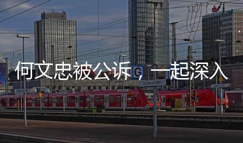 何文忠被公訴，一起深入探究的案件分析