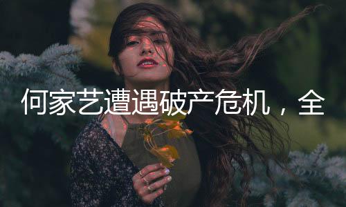 何家藝遭遇破產(chǎn)危機，全家傾力支援共度難關(guān)