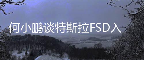 何小鵬談特斯拉FSD入華：熱烈歡迎，整個智能駕駛行業(yè)會有更多有趣交流和互相促進