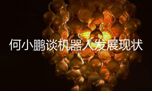 何小鵬談機(jī)器人發(fā)展現(xiàn)狀，當(dāng)前多數(shù)機(jī)器人尚處于L2階段