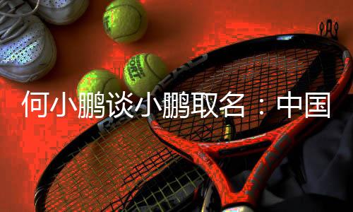 何小鵬談小鵬取名：中國會有越來越多以人名命名的品牌走向全球