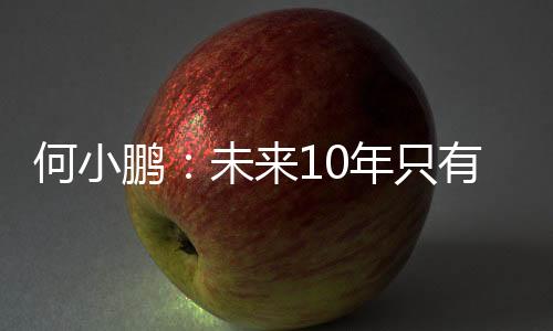 何小鵬：未來10年只有5