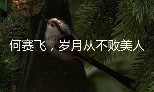 何賽飛，歲月從不敗美人